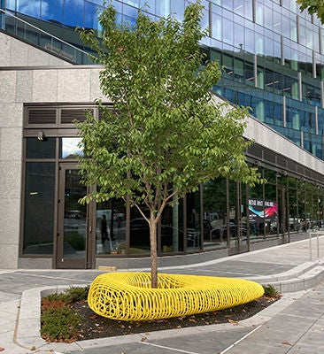Modern urban bench with tree centerpiece