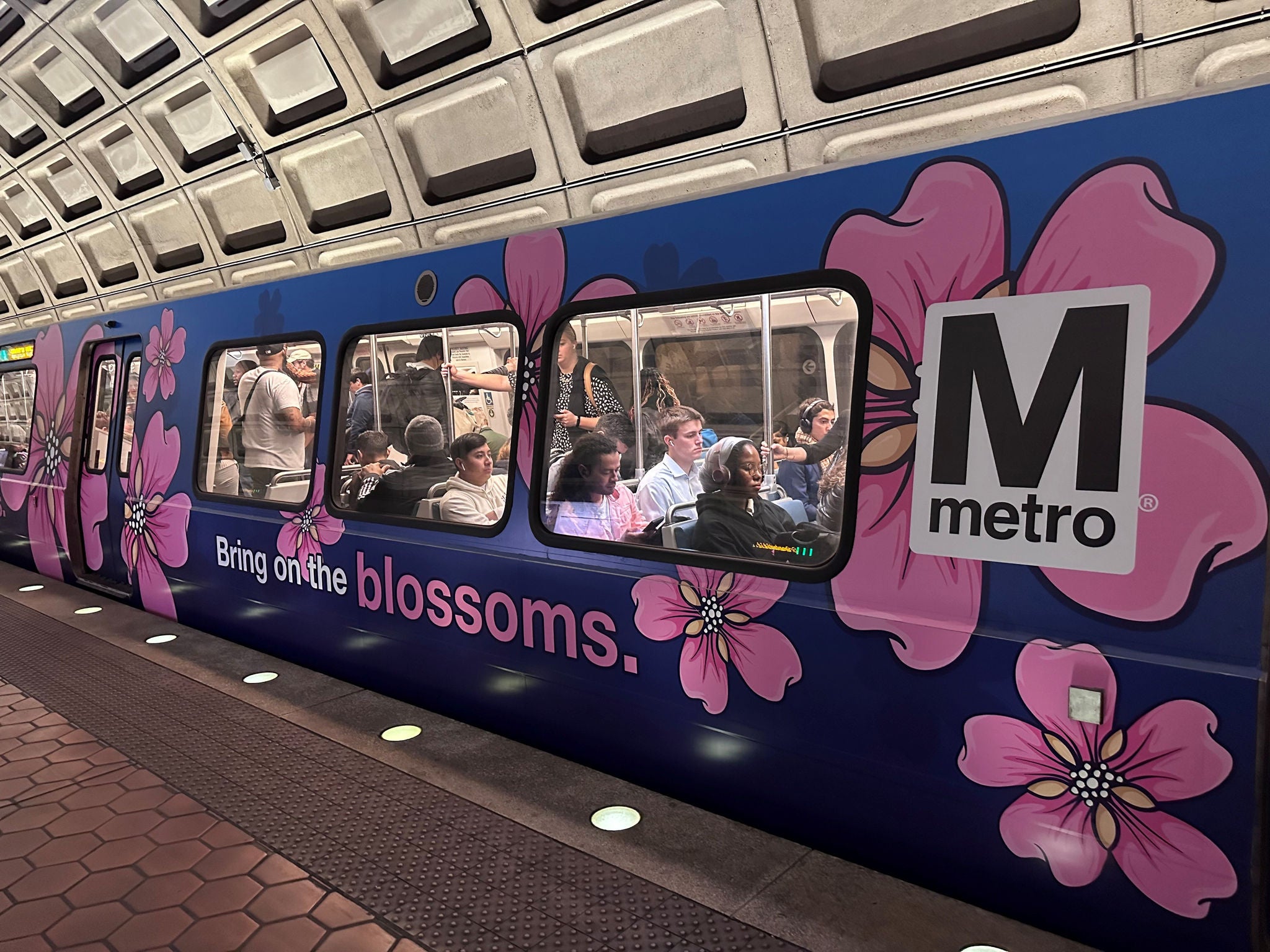 Cherry blossom metro car
