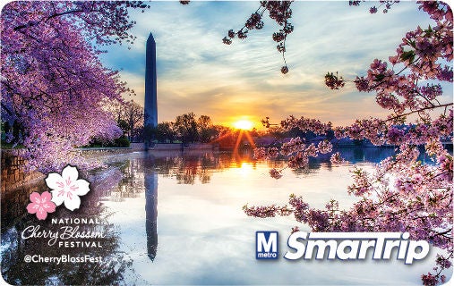 2023 Cherry Blossom Card